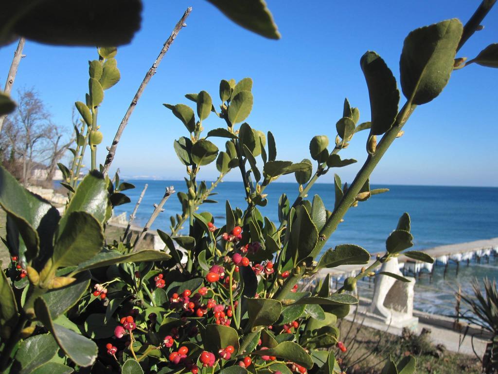 Aparthotel Apartcomplex Splendid Saints Constantine and Helena