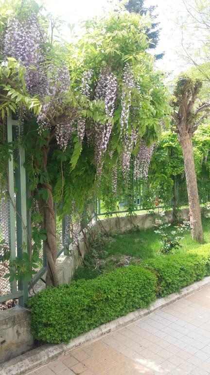 Apartcomplex Splendid Sf. Constantin și Elena